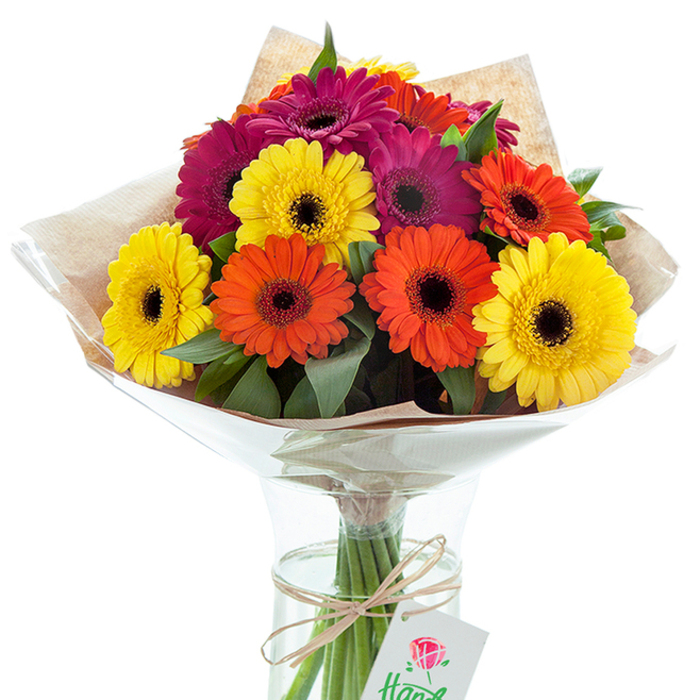 Emanating the welcoming spirit of Morden, this exuberant bouquet of Gerbera daisies is a kaleidoscope of colour crafted by local hands. Displayed in a clear, elongated glass vase filled with refreshing water, the bouquet bursts with large yellow, orange, and magenta Gerberas-their dark, velvety centres providing dramatic flair. Each bloom appears freshly cut, with vibrant petals radiating from the centre in perfect symmetry. Sprigs of lively green foliage weave throughout, adding dimension and the refreshing feel of being outdoors in Morden's gardens. The arrangement is lovingly wrapped: an inner layer of crisp, clear cellophane secures the blossoms, while an outer wrap of light brown kraft paper grounds the design in natural charm. Binding the stems is a hand-tied raffia bow, from which a delicate white card featuring a rose illustration dangles-a symbol of the personal care Morden florists bring to each creation. Bright but balanced studio lighting ensures every colour is faithfully represented, casting minimal shadow and revealing the arrangement's full, abundant form. This bouquet is an ideal gift for all of life's little triumphs-birthdays, bright days, or new beginnings in Morden-offering a vibrant reminder of kindness and celebration, whether delivered to a doorstep or presented in person.